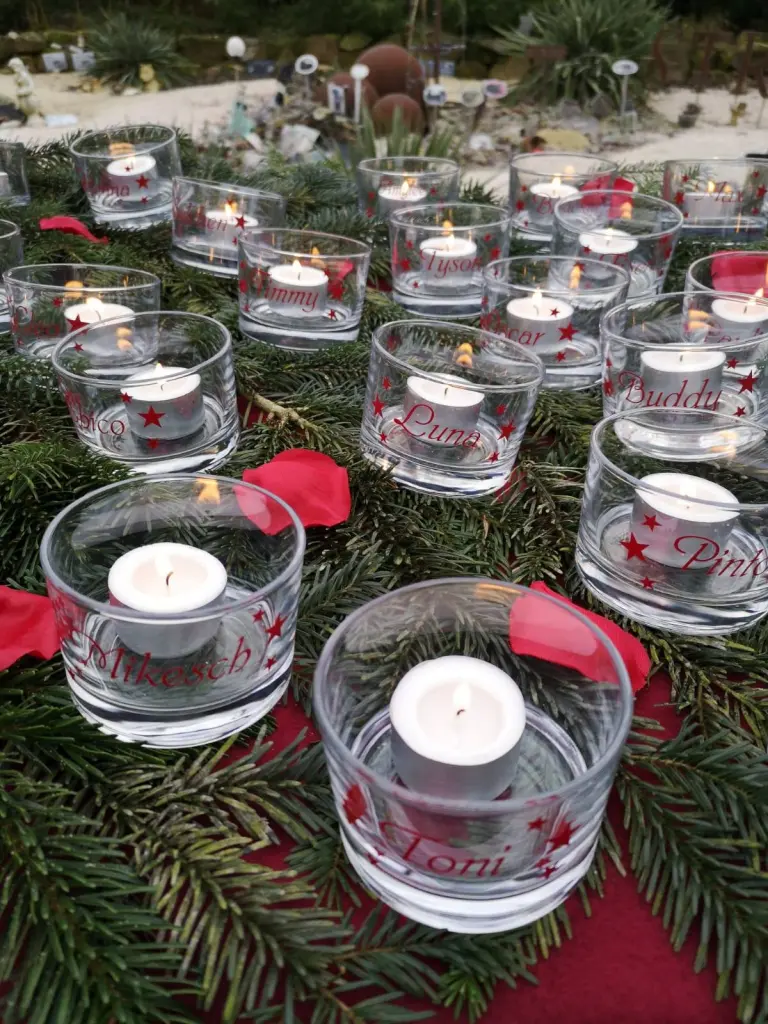 Condolence image of Unbekannt