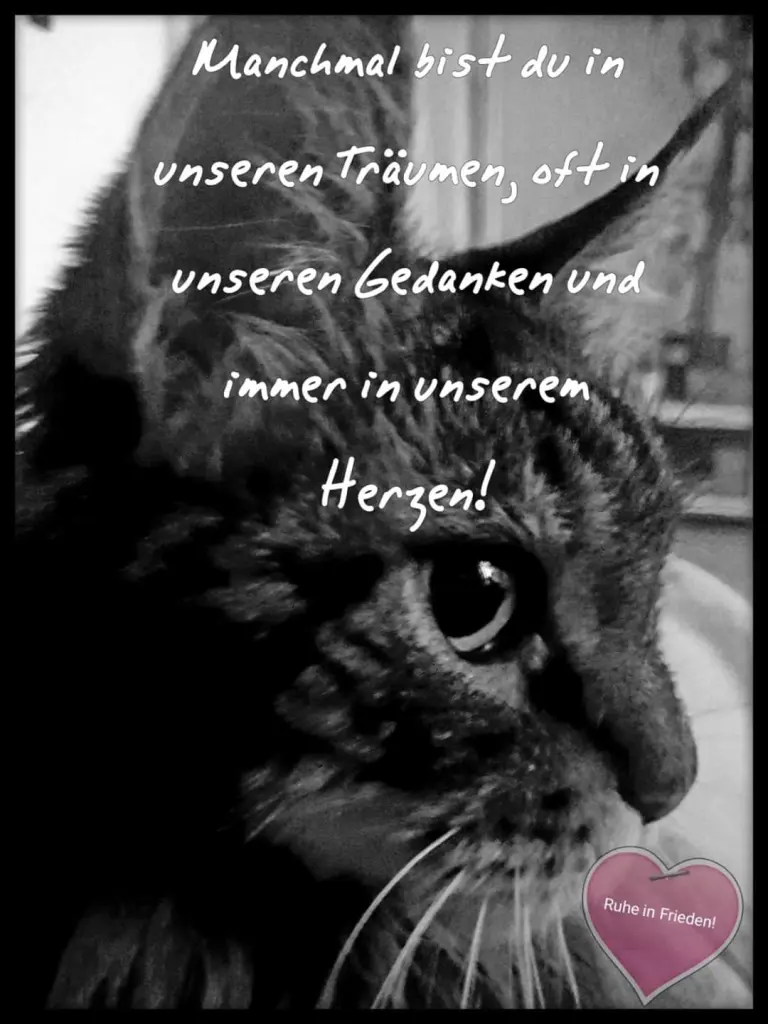 Image from Naomi
