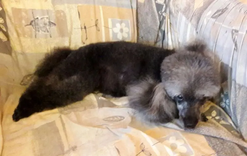 Condolence image of Ellen