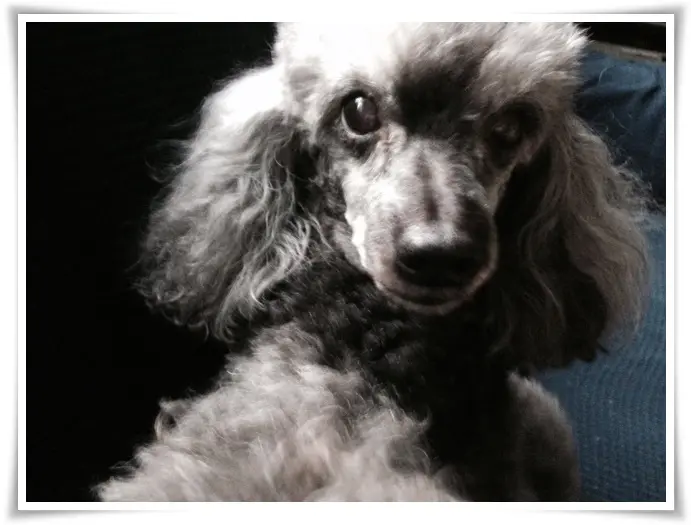 Condolence image of Ellen