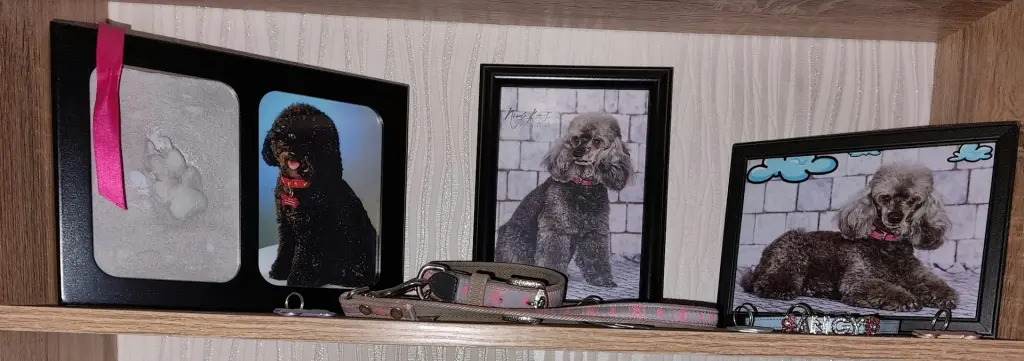 Condolence image of Ellen