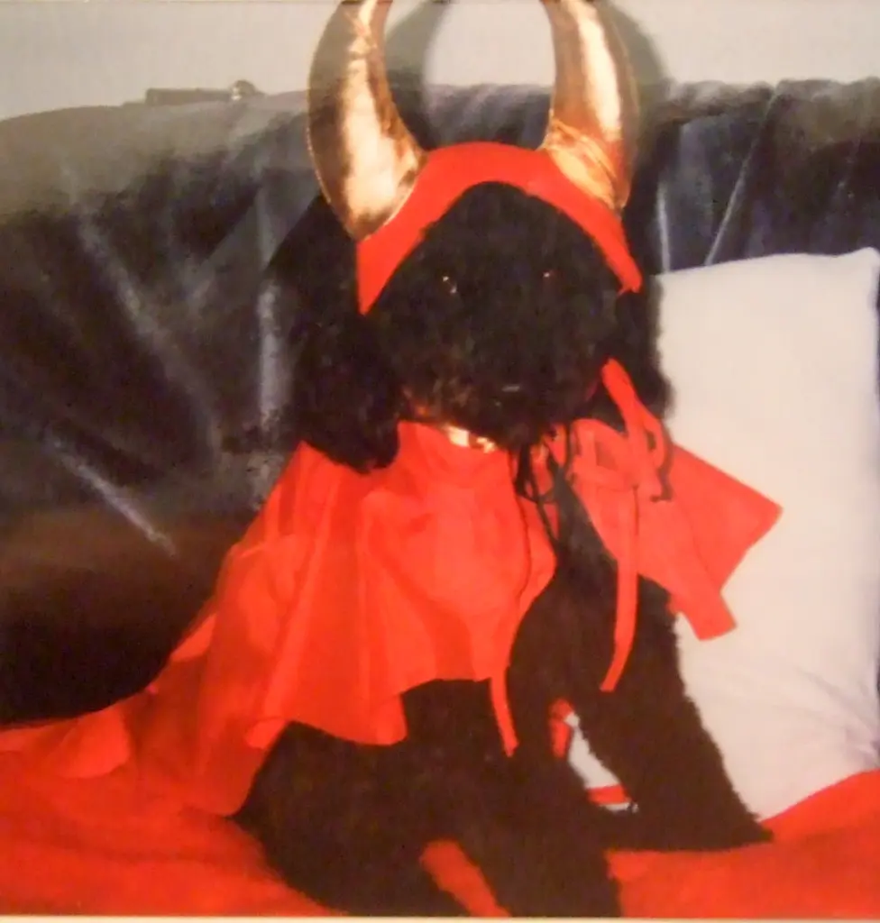 Condolence image of Ellen