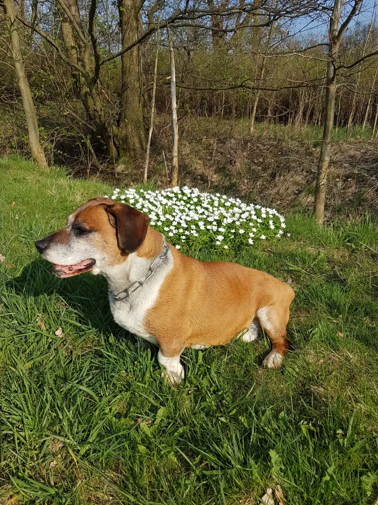 Bild von Jack