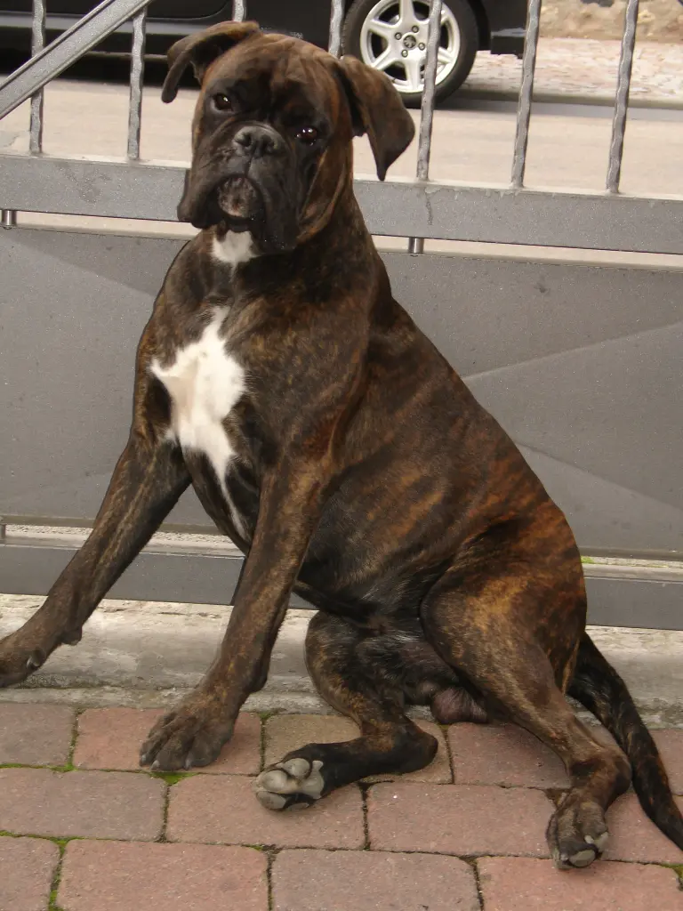 Condolence image of Burgunde