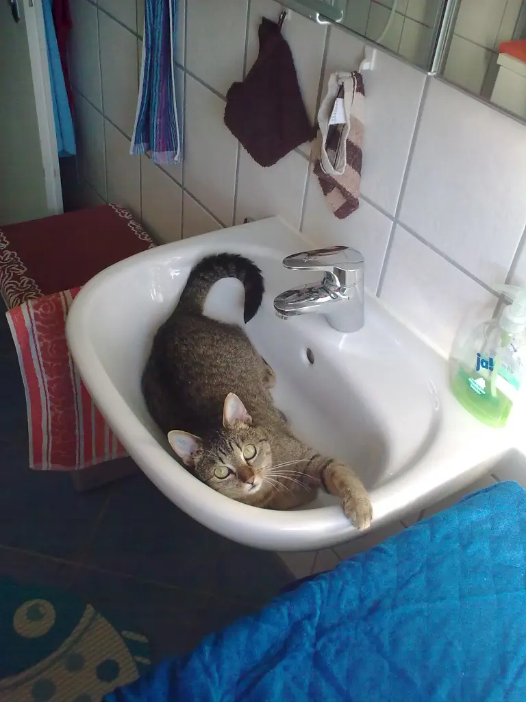 Image from Lilli