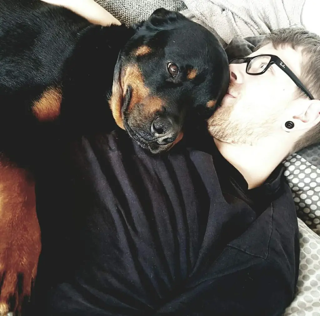 Condolence image of Andy