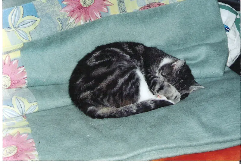 Condolence image of Ulla