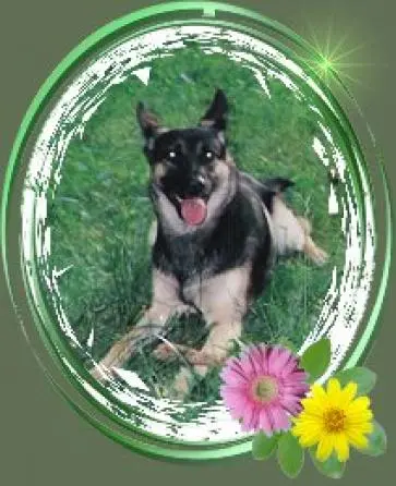 Condolence image of Ulla