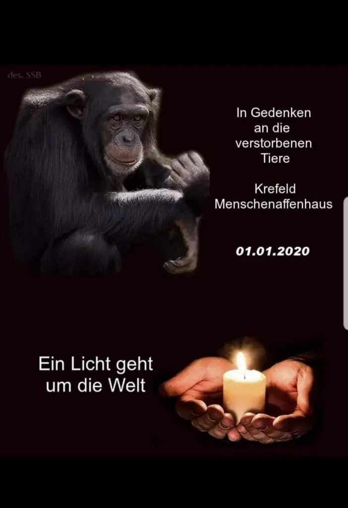 Condolence image of Ilse mit Tier-Sternlein Minna, Fee, Gismo und Jule im Herzen