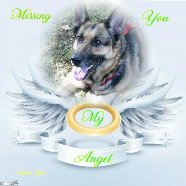 Condolence image of Ulla