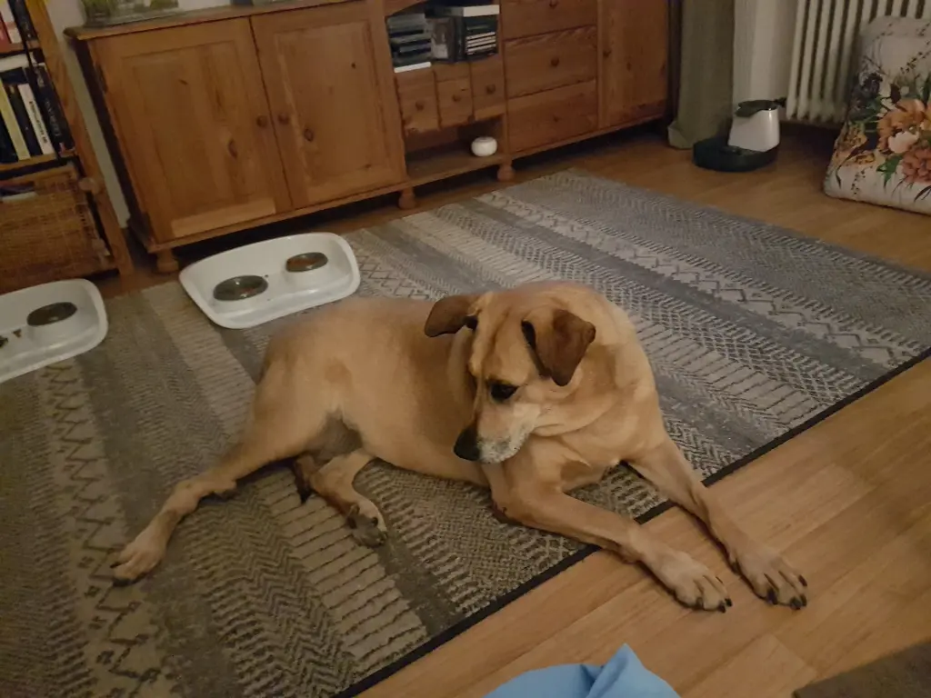 Condolence image of ❤️