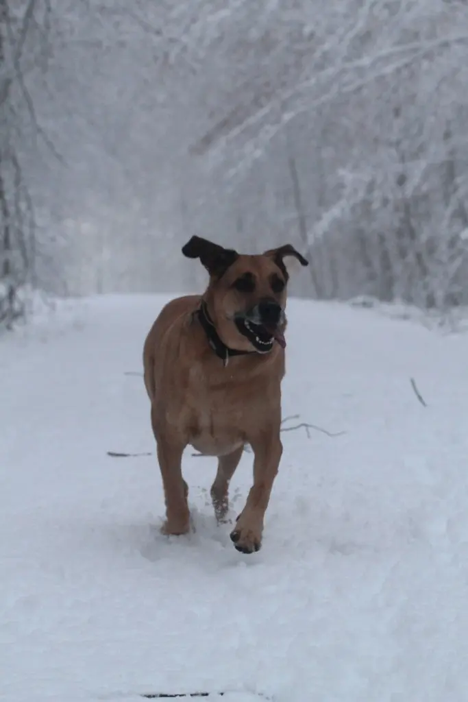 Condolence image of ♥️