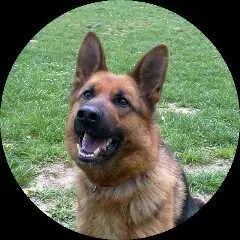 Image from Zora
