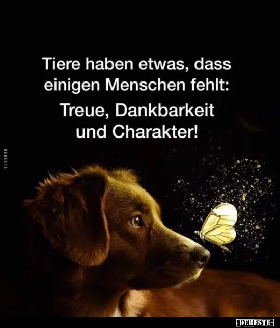 Condolence image of Jutta mit Purzel tief im Herzen ✟ 08.05.2016