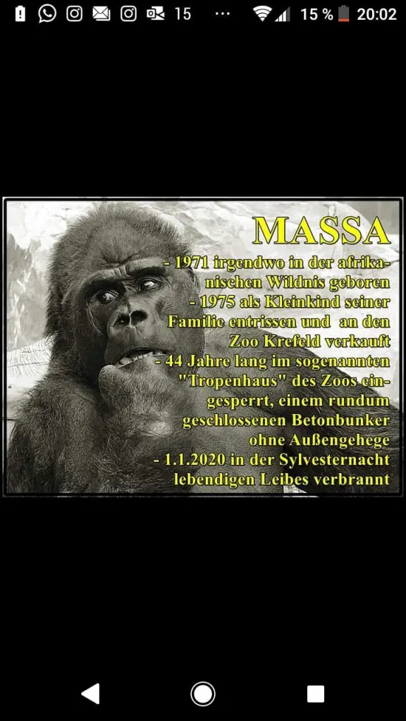 Image from Massa