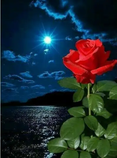 Condolence image of Alexandra