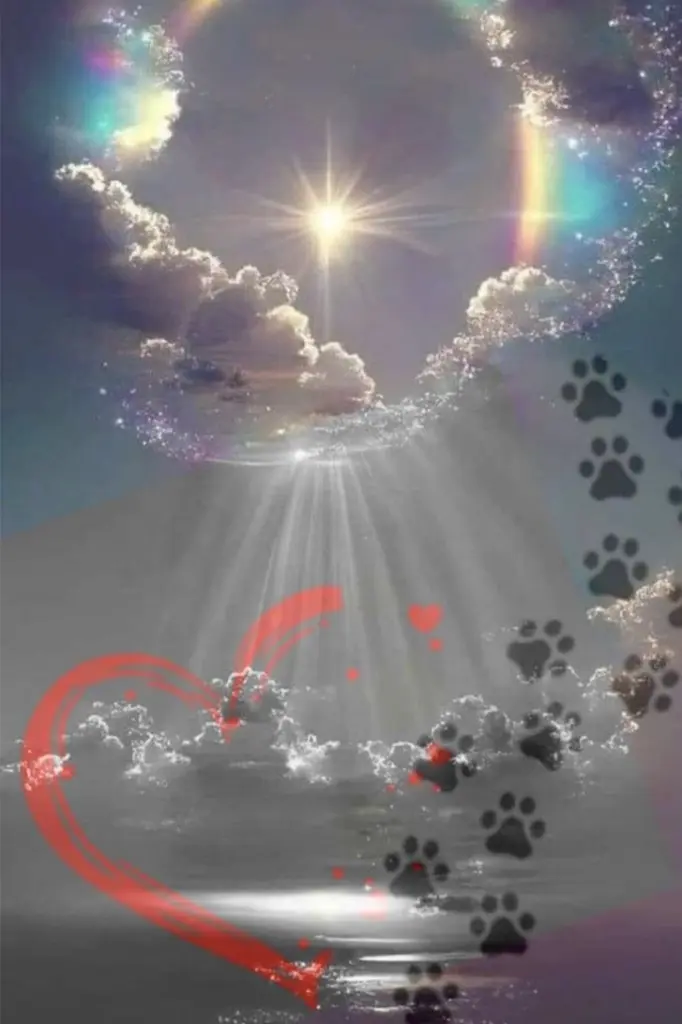 Condolence image of Alexandra Flasche
