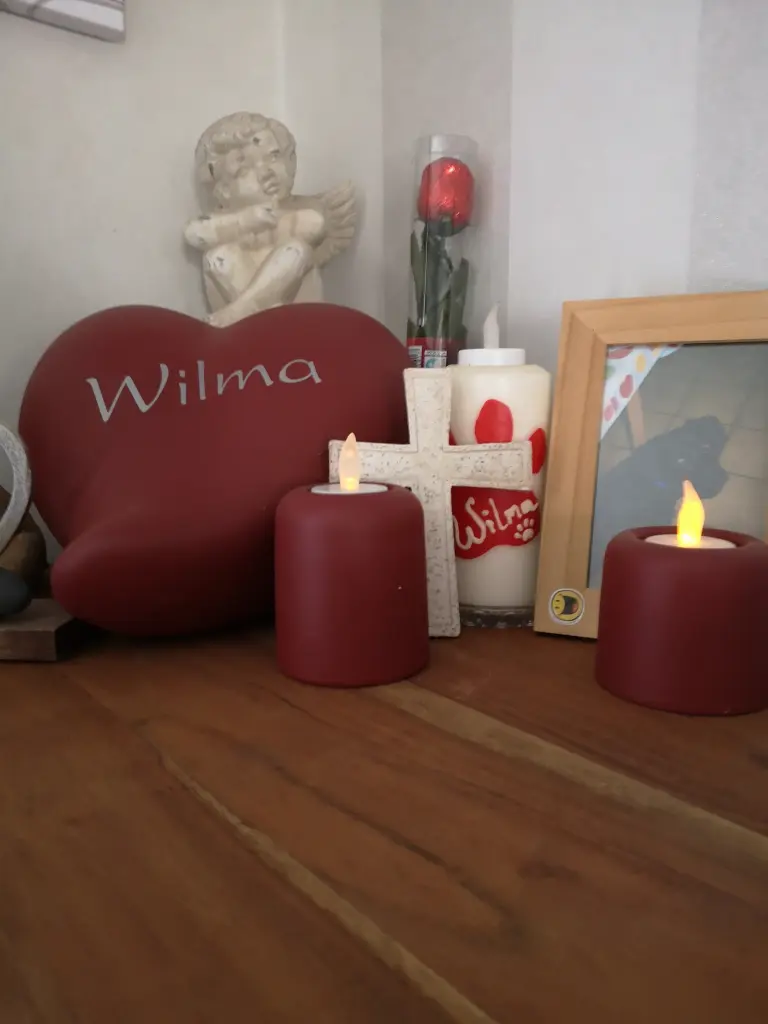 Condolence image of Beatrix