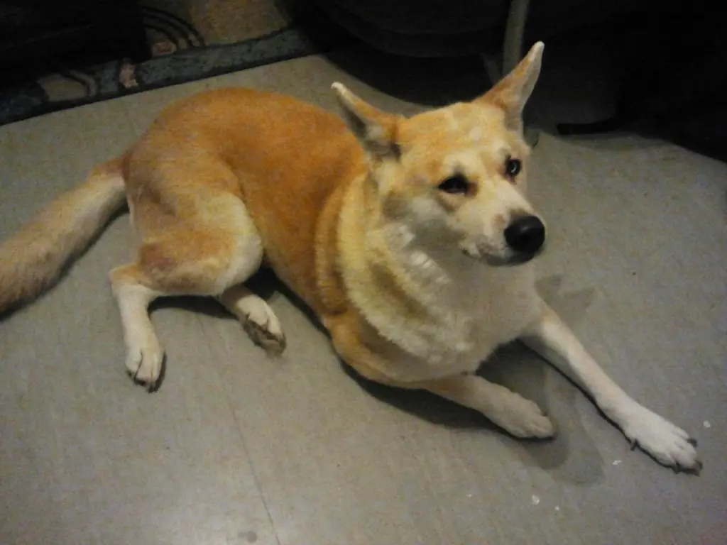 Andachtsbild von Tina mit Luna im Herzen