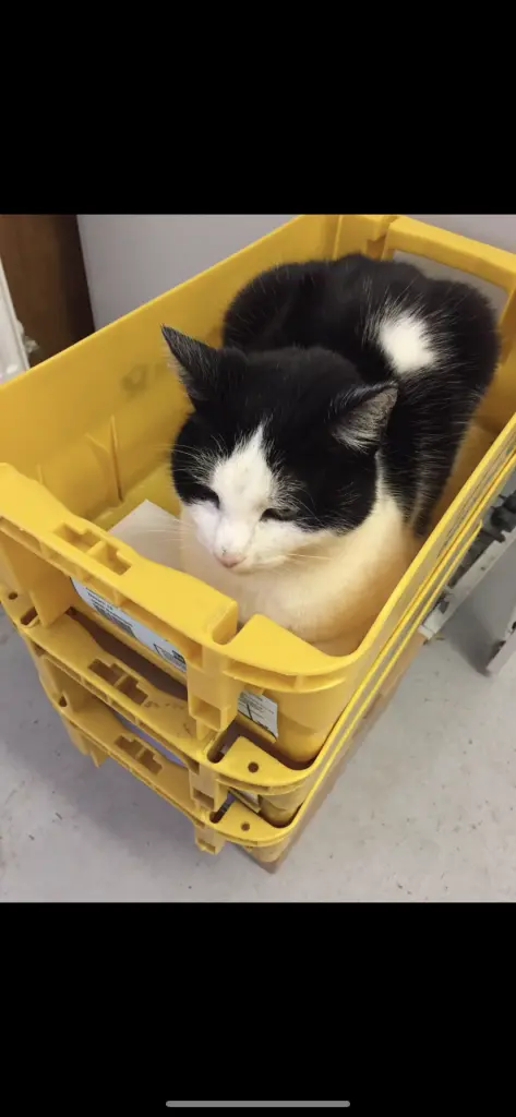 Andachtsbild von Vivian