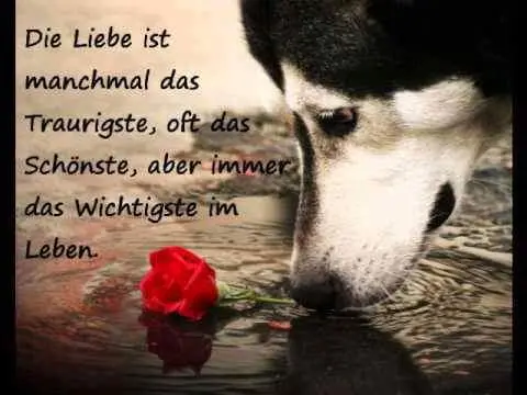 Andachtsbild von Helga