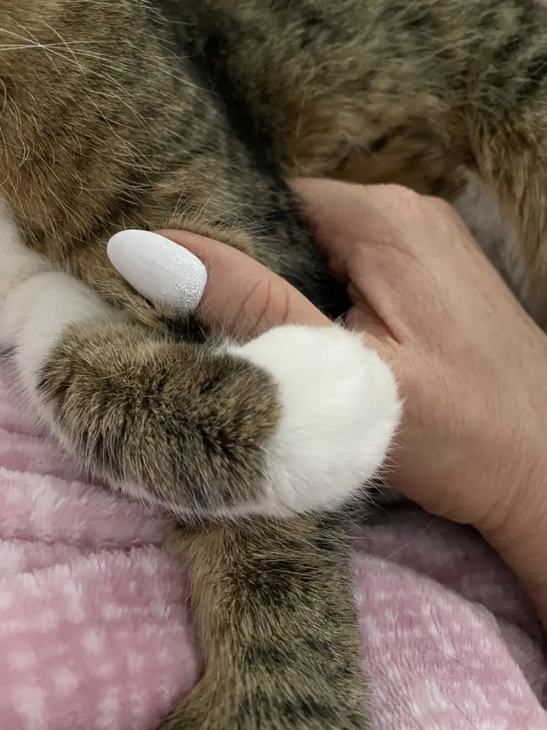 Andachtsbild von Sandra