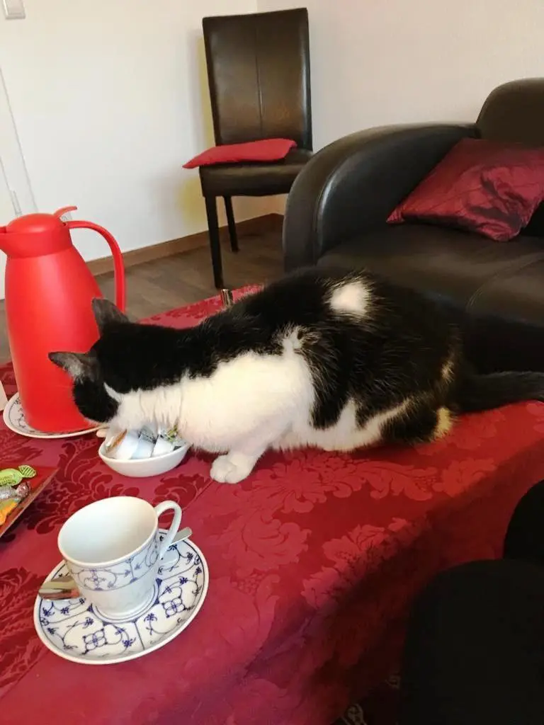 Andachtsbild von Jeanette Schaumann