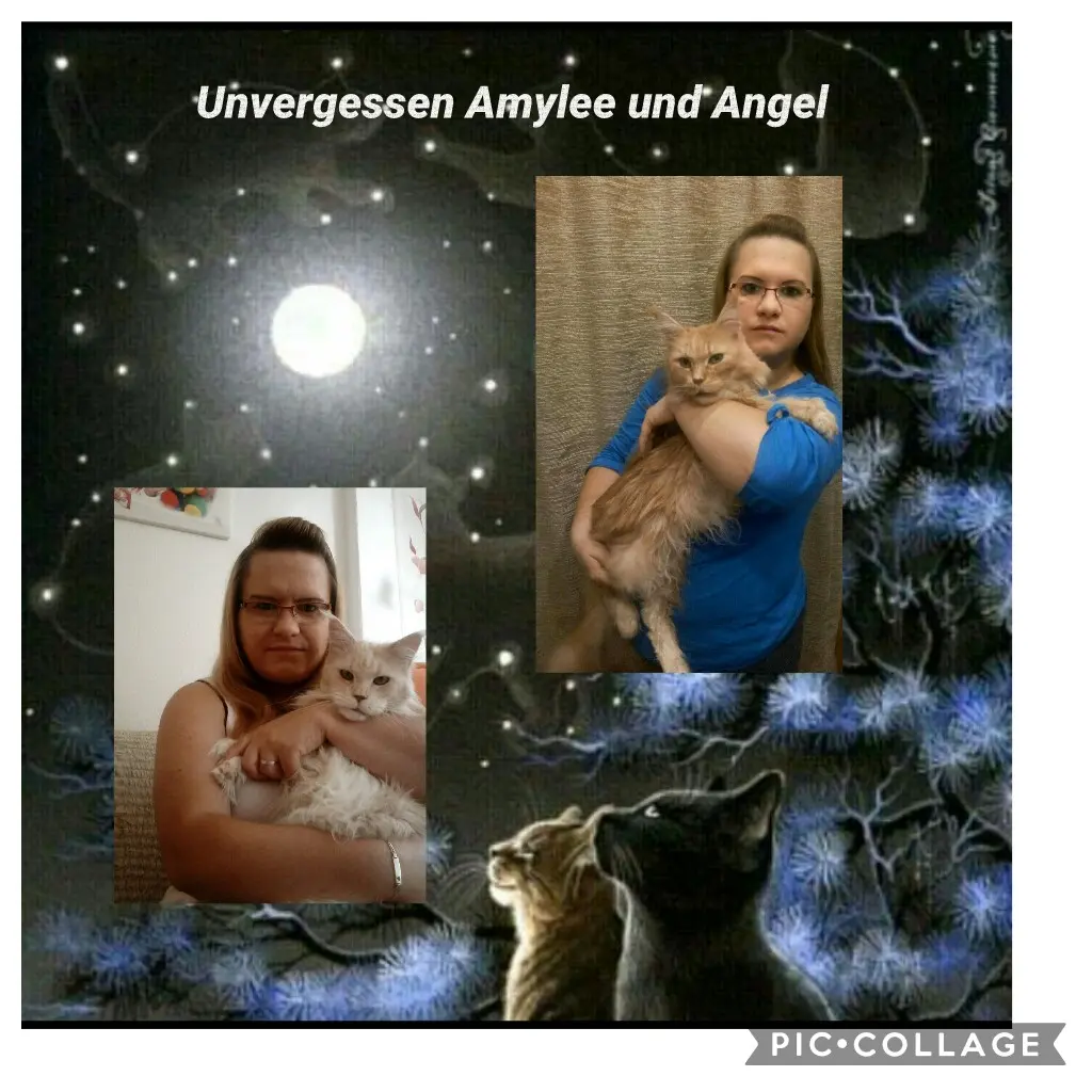 Andachtsbild von Cathleen Giese