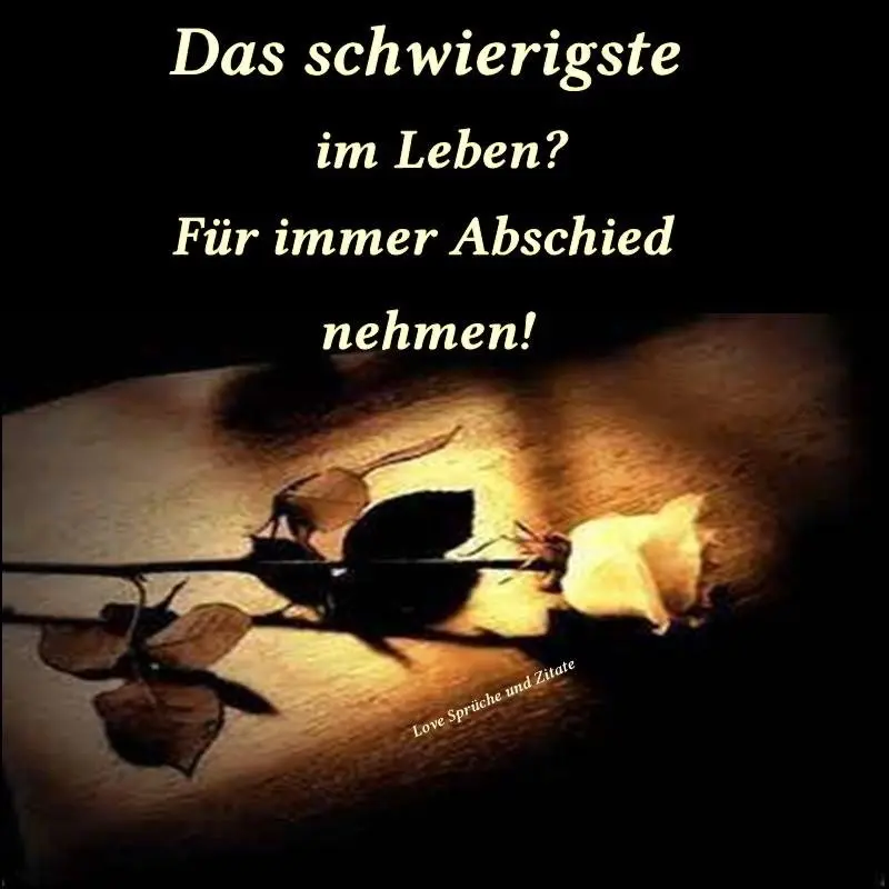 Andachtsbild von Verena mit Olli tief im Herzen ♥️ 29.06.2019✨✨✨