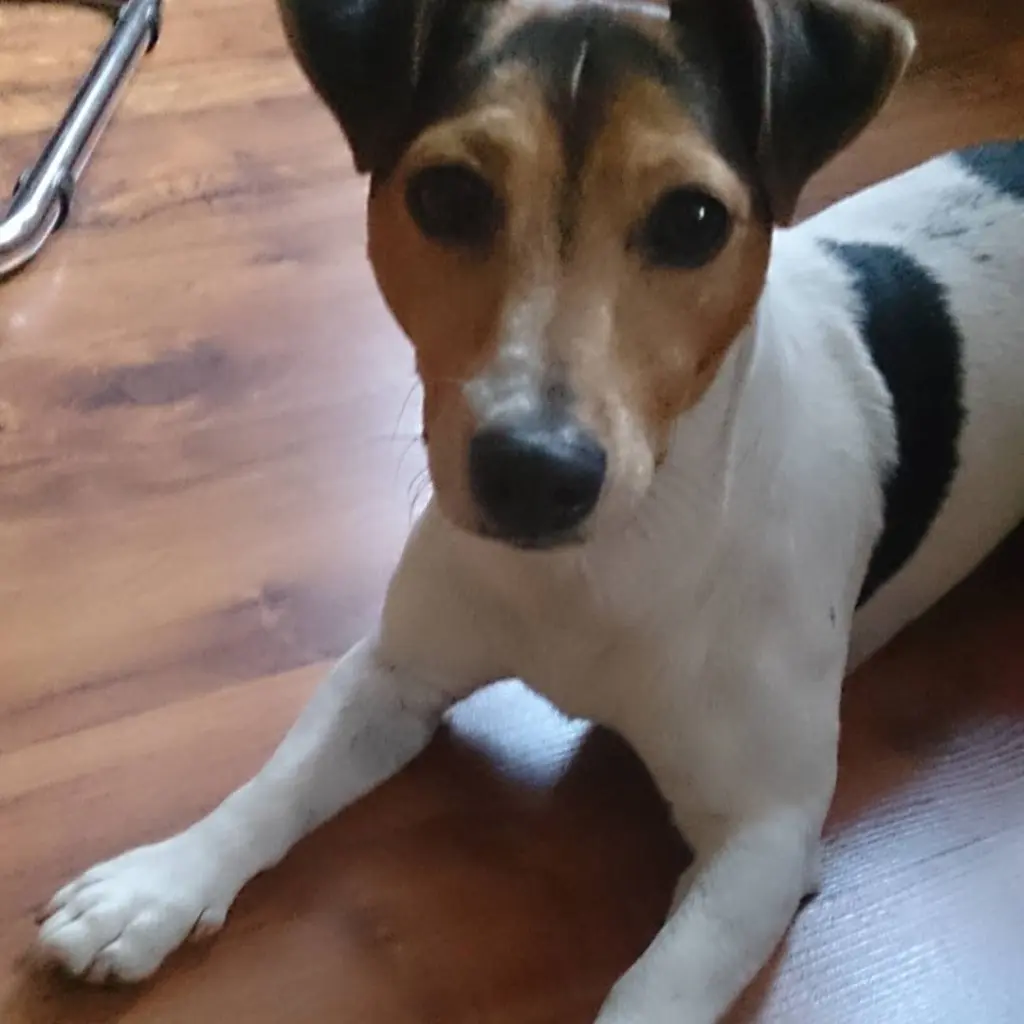 Andachtsbild von Yvonne und Byron im Herzen 