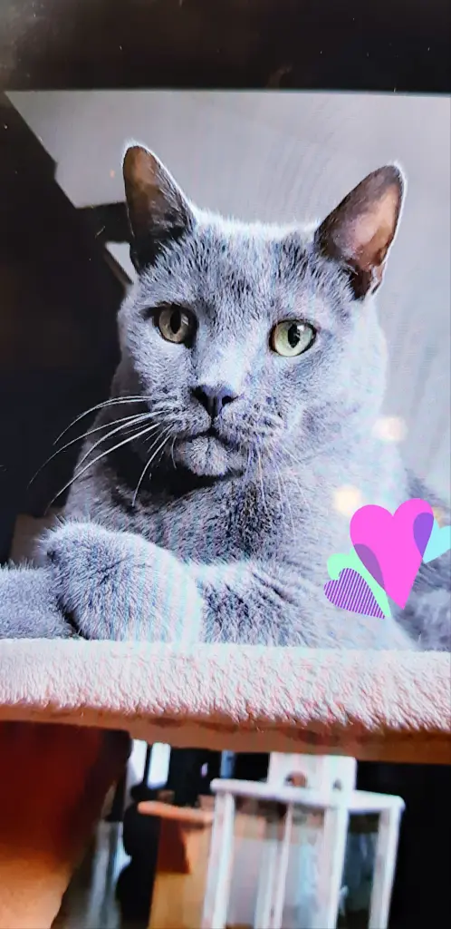 Andachtsbild von Christine mit Lucky im Herzen ❤