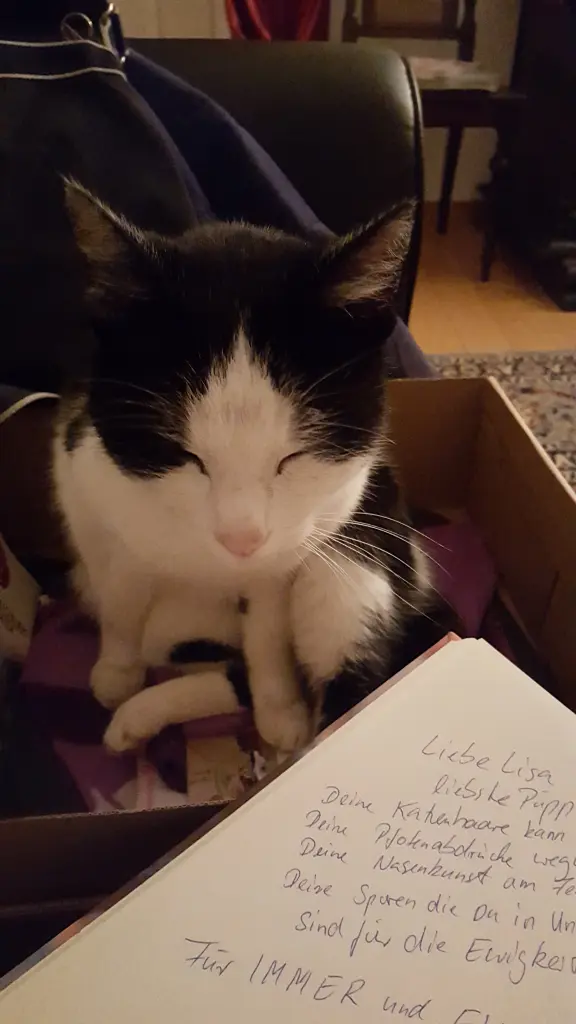 Andachtsbild von Nicole