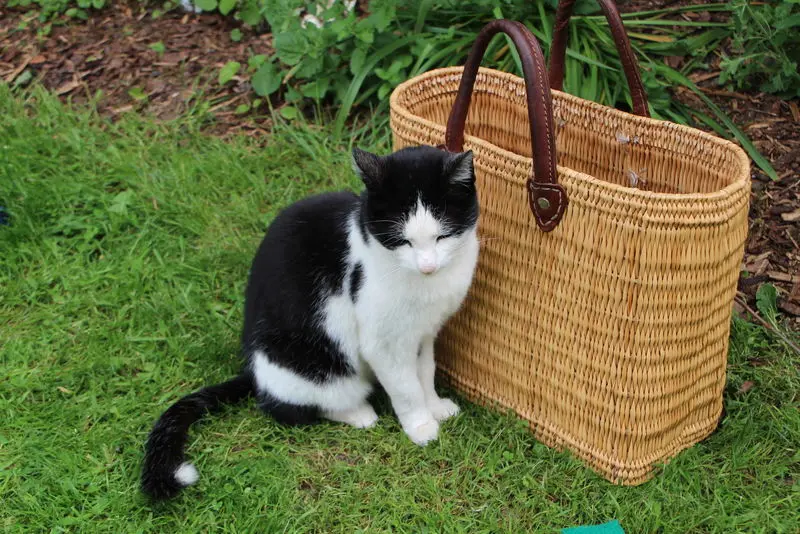 Andachtsbild von Charlotte