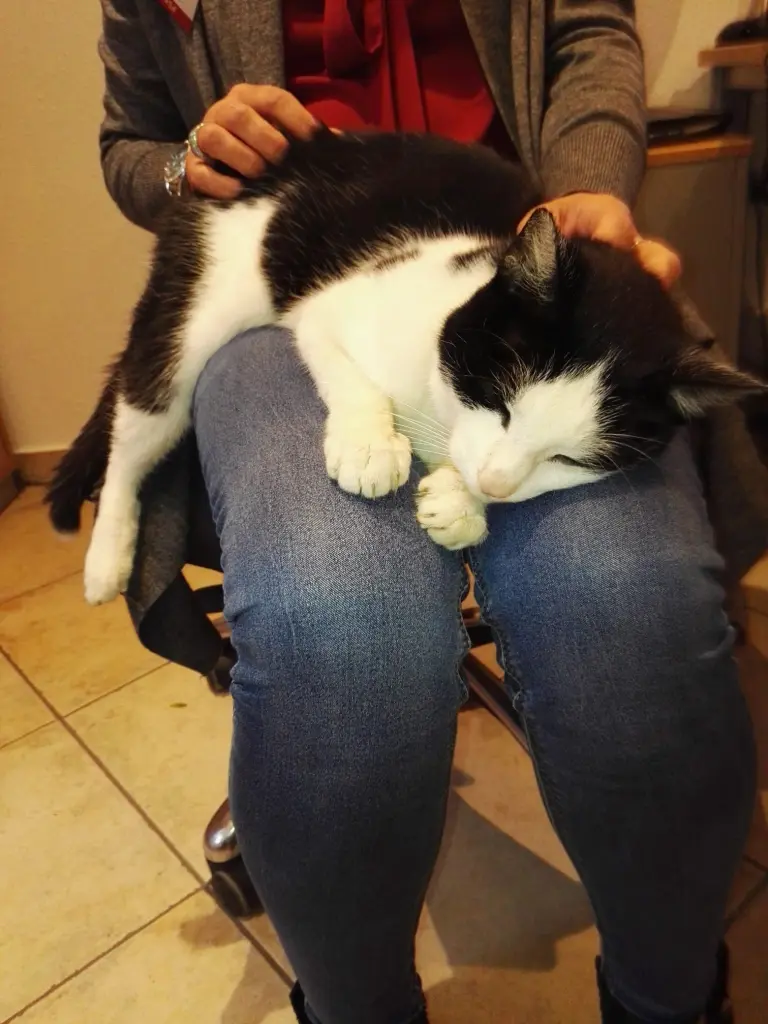 Andachtsbild von Astrid