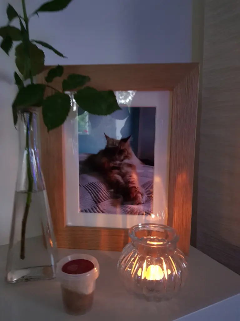 Andachtsbild von Anke