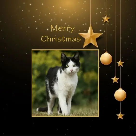 Andachtsbild von Weihnachtsgrüße ins Regenbogenland die von Herzen kommen✰ ¸.•*¨*•.