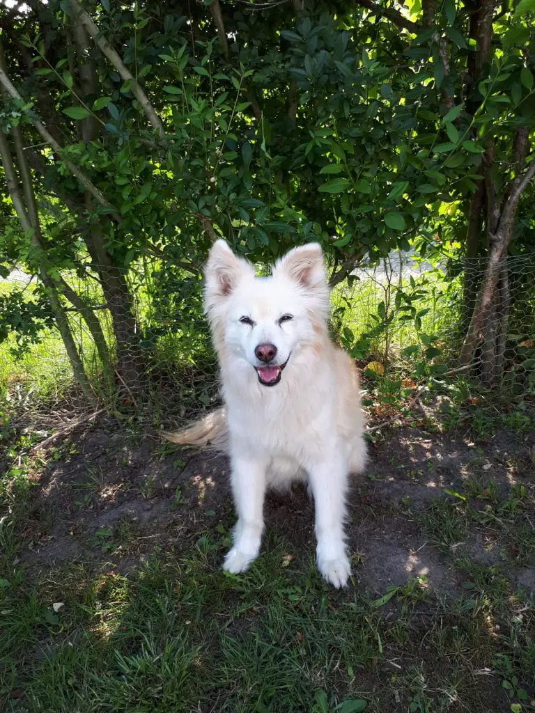 Image from Finja