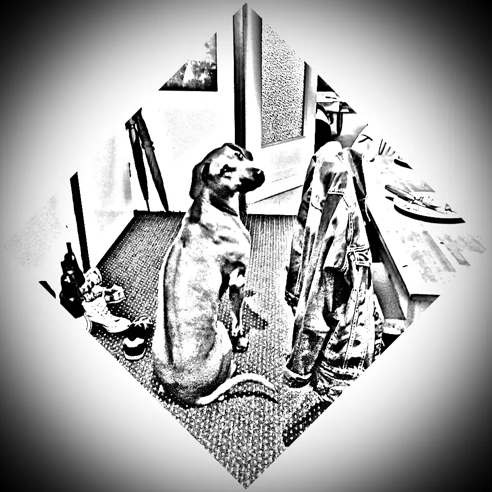 Condolence image of Jadranka & Norbert