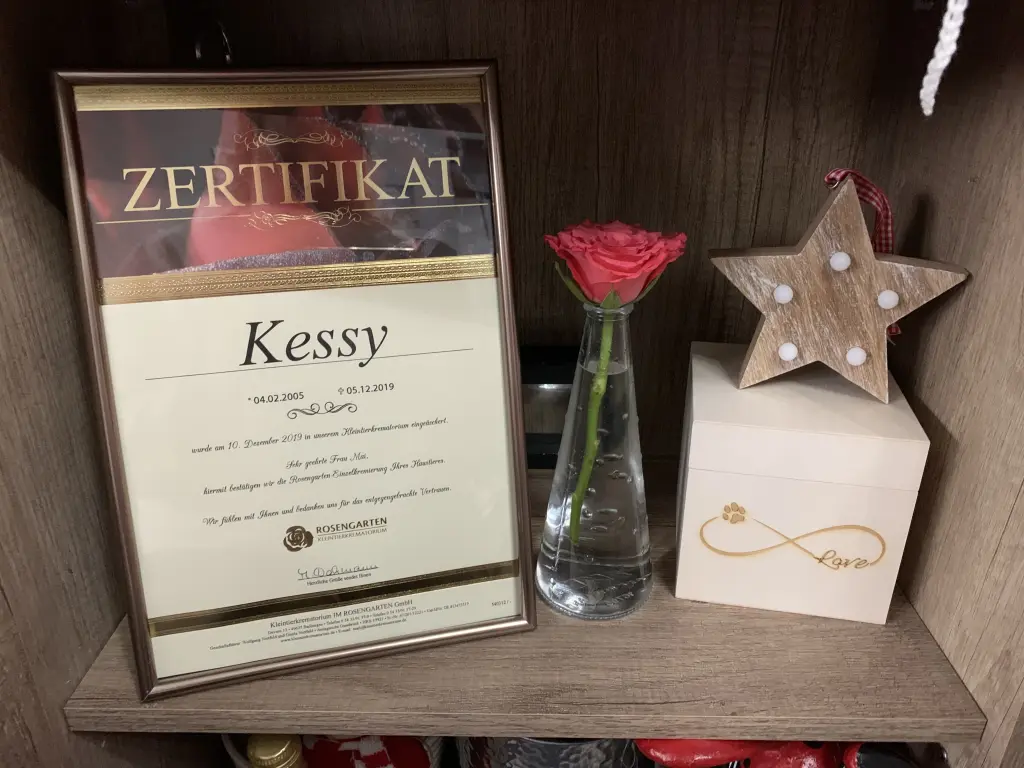 Image from Kessy