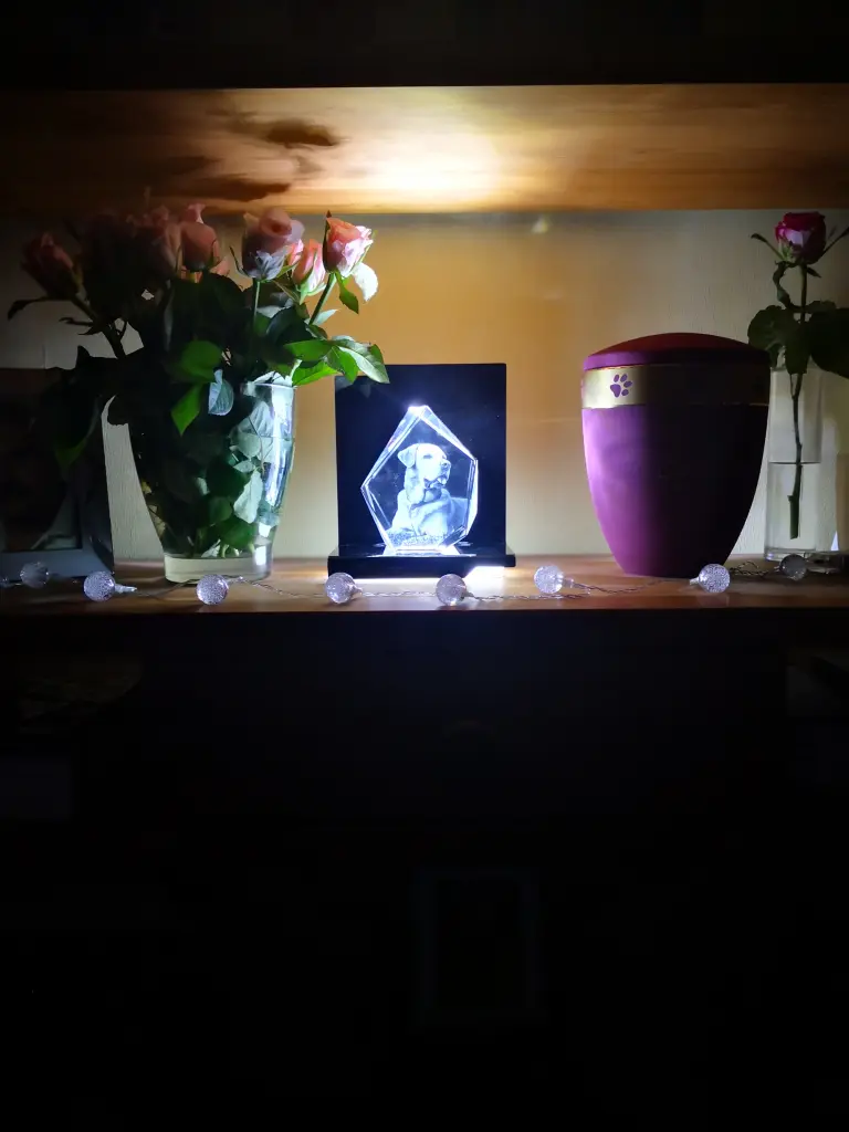 Condolence image of Sabine Kierstan