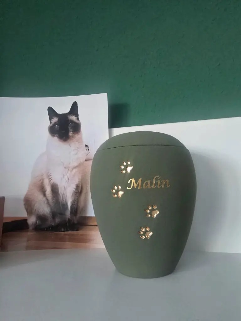 Condolence image of Kim