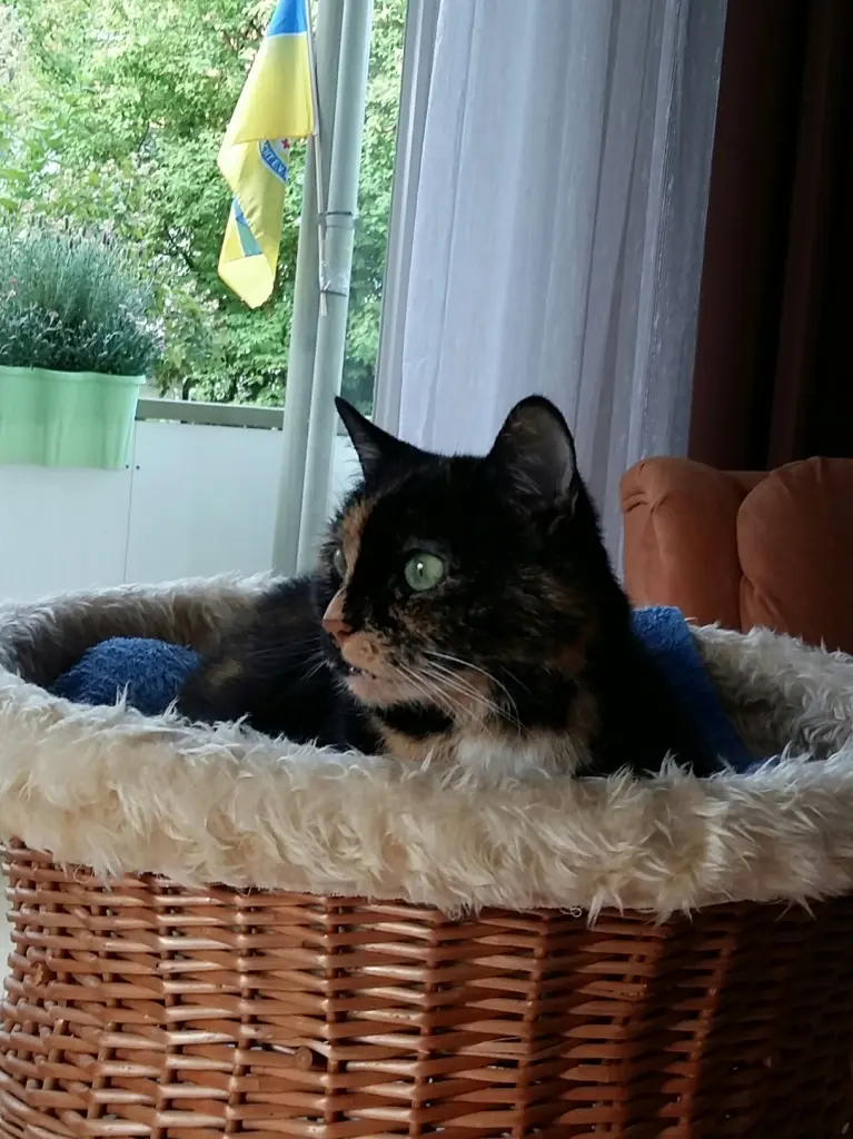 Image from Luzie