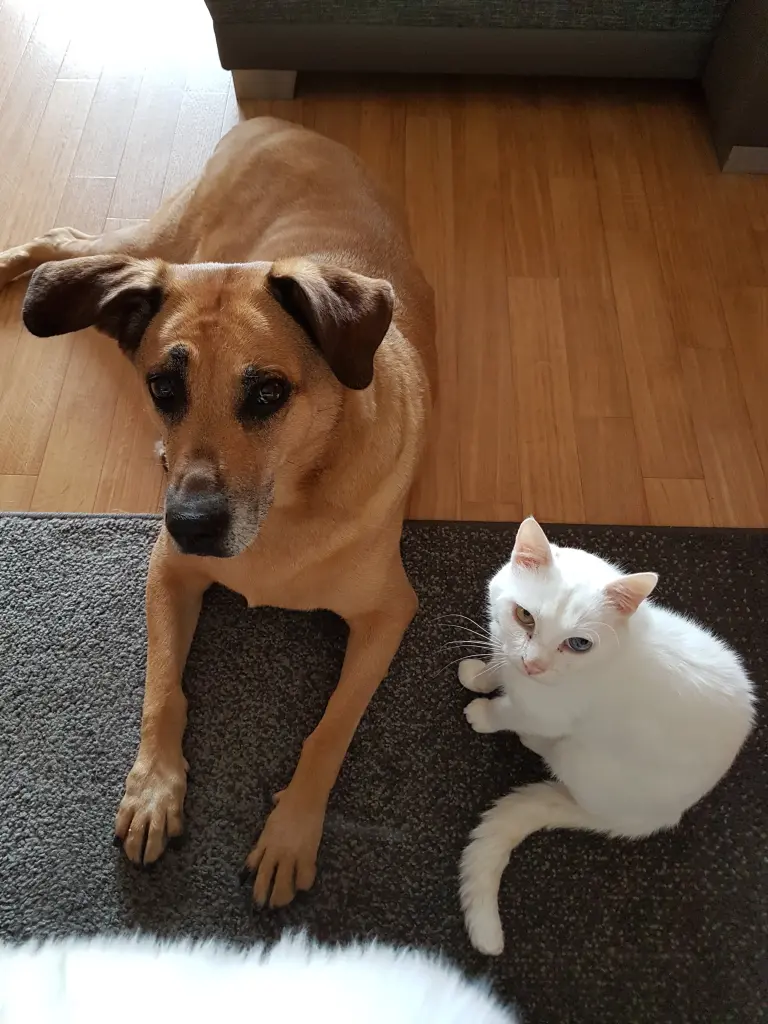 Condolence image of Steffi mit Fina im Herzen