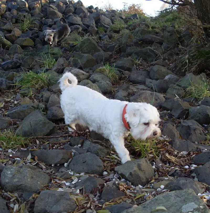 Andachtsbild von Günter mit Hanna im Herzen
