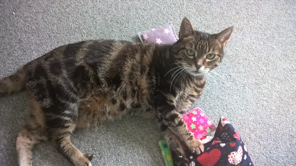 Andachtsbild von Patricia  Tappeser 