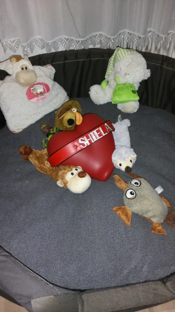 Image from Shiela