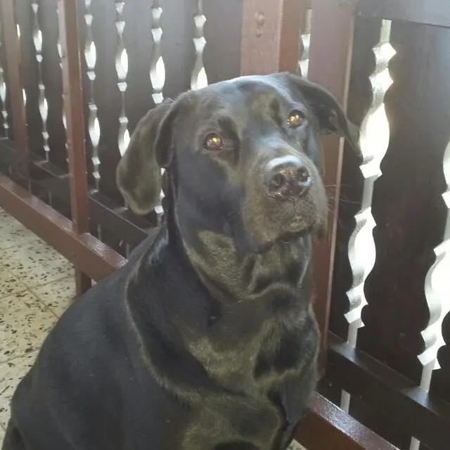 Image from Shiela