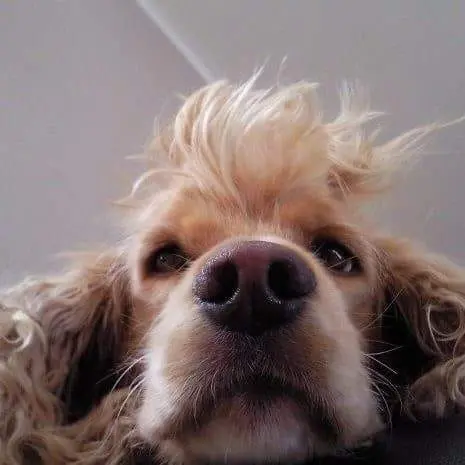 Condolence image of ❤️für mein Bub