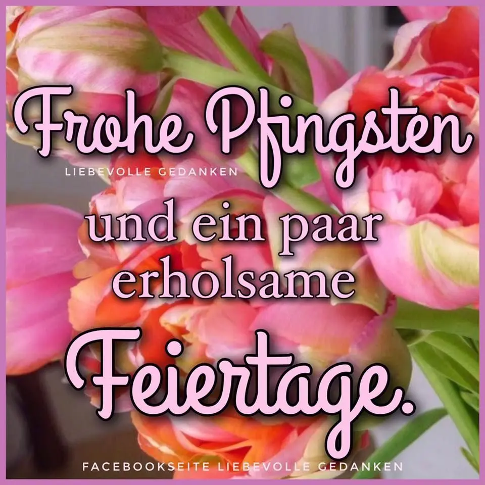 Condolence image of Ellen mit Lina ♥️