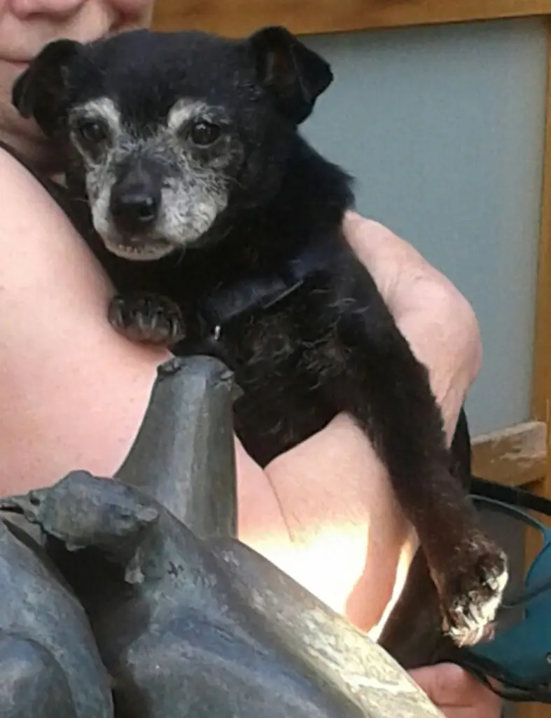 Condolence image of Renate